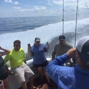 Meet your Posher, Janet